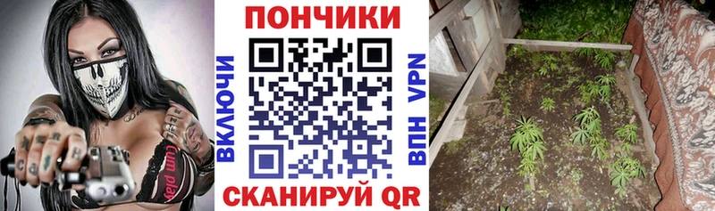 Наркошоп Ужур COCAIN  Псилоцибиновые грибы  Мефедрон  ГАШ  МАРИХУАНА 