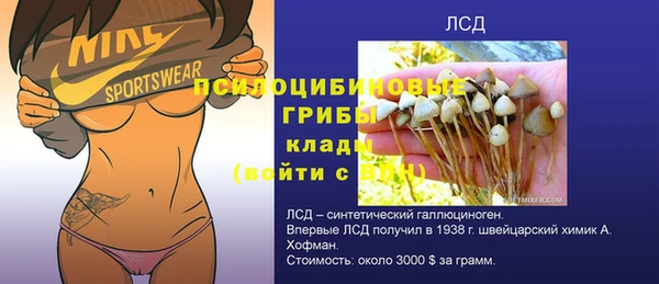 первитин Балахна